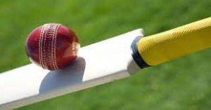 ক্রিকেট খেলা রচনা । Essay on Cricket game