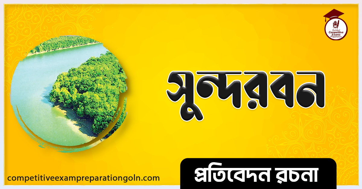 সুন্দরবন রচনা । Essay on Sundarban